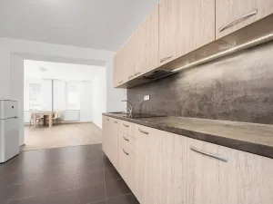 Pronájem bytu 1+kk, Brno, Tomáškova, 45 m2