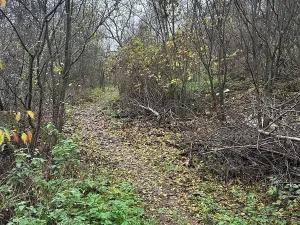 Prodej rodinného domu, Brno, Vinohrady, 235 m2