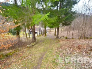 Prodej chalupy, Desná - Desná I, Výletní, 110 m2