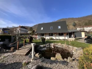 Prodej rodinného domu, Ústí nad Labem - Ústí nad Labem-centrum, Čajkovského