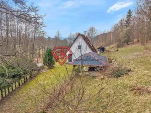 Prodej chalupy, Červená Voda - Horní Orlice, 80 m2