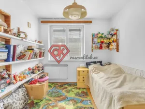 Prodej rodinného domu, Těchonín, 150 m2