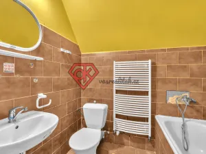 Prodej rodinného domu, Těchonín, 150 m2