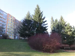 Prodej bytu 1+kk, Plzeň - Bolevec, Nýřanská, 27 m2