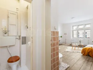 Prodej bytu 1+1, Praha - Holešovice, Jirečkova, 53 m2