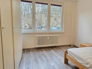 Prodej bytu 3+1, Litvínov - Hamr, Na Kopci, 66 m2