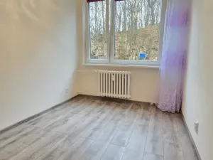 Prodej bytu 3+1, Litvínov - Hamr, Na Kopci, 66 m2