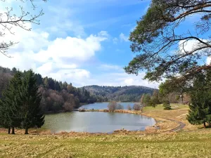 Prodej bytu 2+kk, Všemina, 46 m2