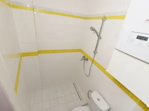 Pronájem bytu 2+kk, Praha - Vinohrady, Na Kozačce, 50 m2