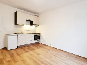 Pronájem bytu 1+kk, Brno, Karáskovo náměstí, 25 m2