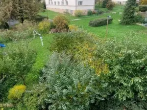 Pronájem bytu 2+1, Praha - Dejvice, Na Šťáhlavce, 61 m2