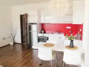 Pronájem bytu 1+kk, Praha - Nusle, Kloboučnická, 33 m2