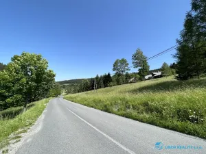 Prodej lesa, Krásná, 21810 m2