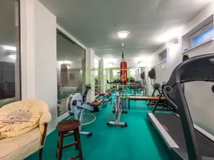 Prodej rodinného domu, Braškov, Akátová, 446 m2