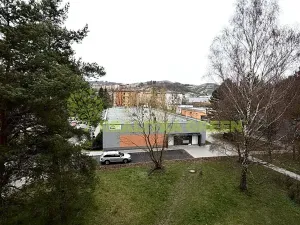 Pronájem bytu 3+1, Vsetín, Ohrada, 72 m2