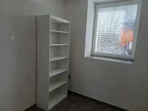 Pronájem bytu 4+1, Frýdlant nad Ostravicí, Revoluční, 100 m2