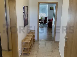 Pronájem bytu 3+kk, Pardubice, třída Míru, 110 m2