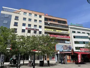 Pronájem bytu 3+kk, Pardubice, třída Míru, 110 m2