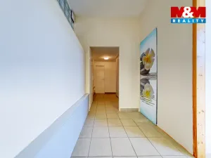 Pronájem obchodního prostoru, Písek, Čechova, 53 m2