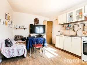 Prodej rodinného domu, Brno, K lázinkám, 160 m2