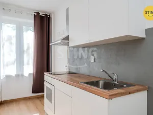 Pronájem bytu 1+kk, Ostrava, Francouzská, 21 m2