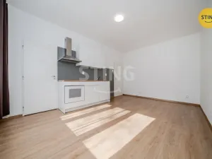 Pronájem bytu 1+kk, Ostrava, Francouzská, 24 m2
