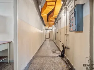 Prodej restaurace, Řečany nad Labem, 1. máje, 320 m2