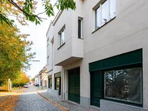 Prodej bytu 5+kk, Praha - Střešovice, Pod bateriemi, 193 m2