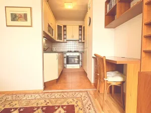 Pronájem bytu 2+kk, Praha, Steinerova, 45 m2