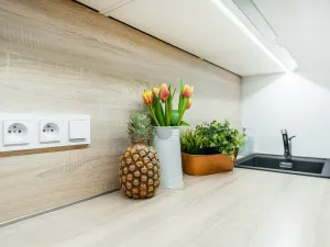 Pronájem bytu 2+kk, Albrechtice nad Orlicí, 1. máje, 32 m2