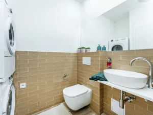 Pronájem bytu 2+kk, Albrechtice nad Orlicí, 1. máje, 32 m2