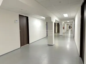 Pronájem kanceláře, Praha - Karlín, Thámova, 17 m2