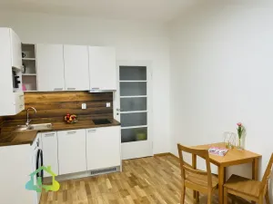 Pronájem bytu 1+kk, Praha - Vinohrady, Sobotecká, 17 m2