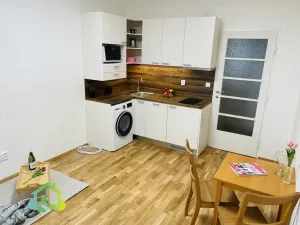 Pronájem bytu 1+kk, Praha - Vinohrady, Sobotecká, 17 m2