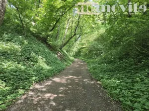 Prodej zahrady, Benátky nad Jizerou, 398 m2