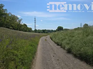 Prodej zahrady, Benátky nad Jizerou, 398 m2