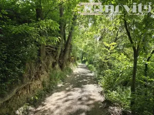 Prodej chaty, Benátky nad Jizerou, 24 m2