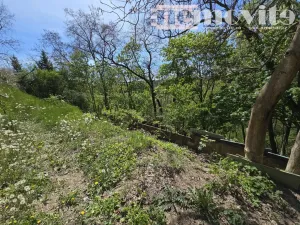 Prodej chaty, Benátky nad Jizerou, 24 m2