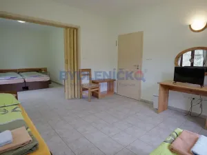 Prodej rodinného domu, Chlum u Třeboně, 475 m2