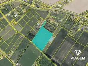 Prodej podílu pole, Bílá Třemešná, 1937 m2