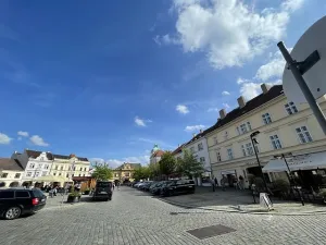 Prodej rodinného domu, Lužec nad Vltavou, 1. máje, 270 m2