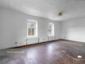 Prodej rodinného domu, Nečtiny - Čestětín, 719 m2