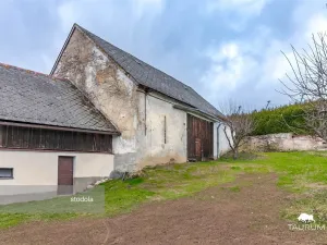 Prodej rodinného domu, Nečtiny - Čestětín, 719 m2