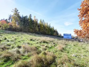 Prodej pozemku pro bydlení, Daleké Dušníky, 1217 m2