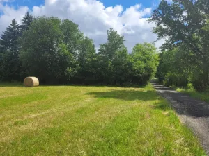 Prodej rodinného domu, Velký Chlumec, 150 m2