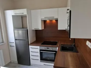 Prodej bytu 2+1, Frýdek-Místek - Frýdek, 45 m2