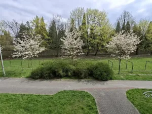 Prodej bytu 2+1, Frýdek-Místek - Frýdek, 45 m2