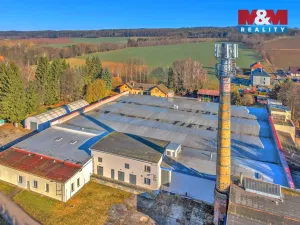 Prodej výrobních prostor, Miletín, Lhotova, 22000 m2