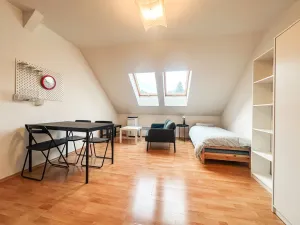 Pronájem bytu 1+kk, Praha - Smíchov, Holečkova, 26 m2