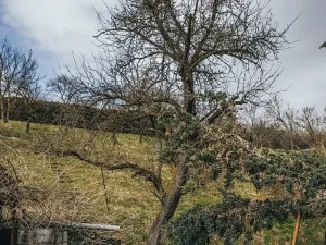 Prodej rodinného domu, Jasenice, 79 m2